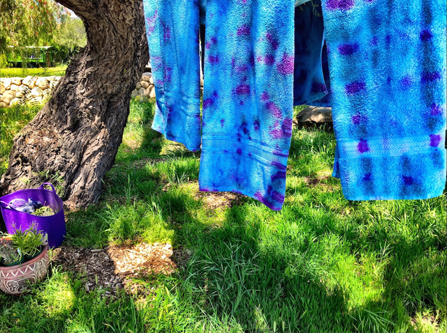 Screen Shot 2017-08-15 at 9.30.25 AM