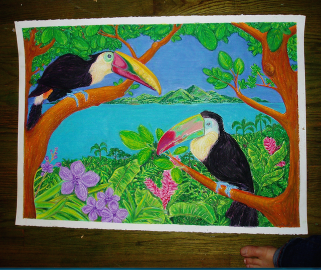 Toucans & Orchids